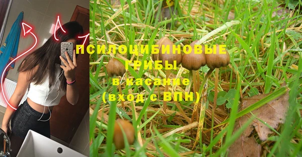 винт Навашино