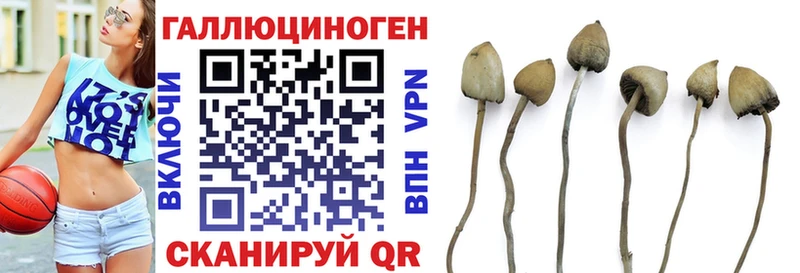 где купить Нарткала Псилоцибиновые грибы прущие грибы