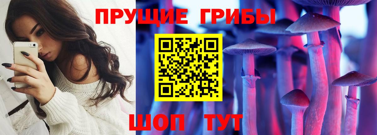Нарткала  Псилоцибиновые грибы Cubensis  Вход с VPN 